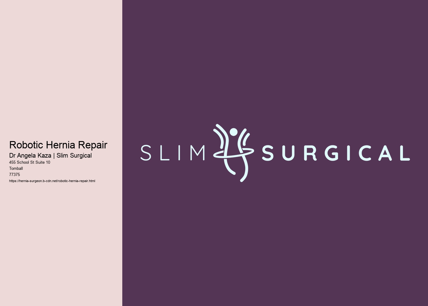 Robotic Hernia Repair